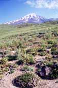 Mt Damavand - nejvy hora rnu. rn.