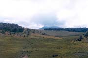 Nhorn planina Horton Plains. Sr Lanka.