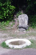 Tikal. Guatemala.