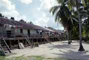 Saham longhouse - 140 km od Pontianaku. Kalimantan,  Indonsie.