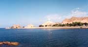 Muscat. Omn.