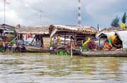 ivot na vod v Mekong delt.  Vietnam.