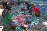 Na pohebn slavnosti. Pprava jdla na jednu z mnoha hostin. Oblast Tana Toraja. Sulawesi,  Indonsie.