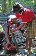 Na pohebn slavnosti. Pprava jdla na jednu z mnoha hostin. Oblast Tana Toraja. Sulawesi,  Indonsie.