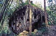 Hroby jsou v dnen dob tesny ve skalch. Oblast Tana Toraja. Sulawesi,  Indonsie.