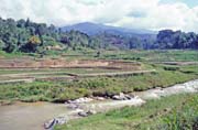 Rovit, dol Mamasa, oblast Tana Toraja. Sulawesi,  Indonsie.