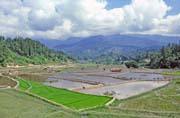 Rovit, dol Mamasa, oblast Tana Toraja. Sulawesi, Indonsie.