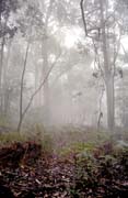 Nrodn park Grampians. Austrlie.