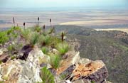 Nrodn park Flinders Ranges. Austrlie.