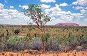 Ayers Rock (Uluru). Jedne z nejvtch monolit na svt. Austrlie.