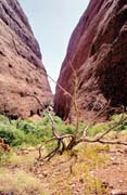 The Olgas (Kata Tjuta). Austrlie.