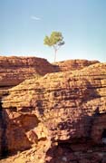 Oblast nazvan Kings Canyon (Watarrka National Park). Austrlie.