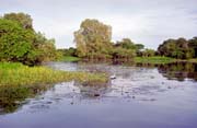 eka Yellow Water. Nrodn park Kakadu. Austrlie.