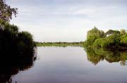 eka Yellow Water. Nrodn park Kakadu. Austrlie.