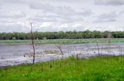 eka Yellow Water. Nrodn park Kakadu. Austrlie.