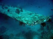 Potpn u ostrova Biak, lokalita Catalina wreck. Papua, Indonsie.