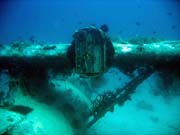 Potpn u ostrova Biak, lokalita Catalina wreck. Papua, Indonsie.