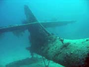 Potpn u ostrova Biak, lokalita Catalina wreck. Papua,  Indonsie.