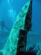 Potpn u ostrova Biak, lokalita Catalina wreck. Papua,  Indonsie.