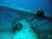 Potpn u ostrova Biak, lokalita Catalina wreck. Papua,  Indonsie.