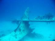 Potpn u ostrova Biak, lokalita Catalina wreck. Papua,  Indonsie.