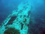 Potpn u ostrova Biak, lokalita Catalina wreck. Papua, Indonsie.