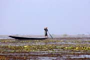 ivot na jezee Inle. Myanmar (Barma).