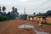 Jeden sek ze 4 kilometr dlouh Cesty otrok (Route des Esclaves) ve mst Ouidah. Cesta vedla od pevnosti v centru msta k moskmu pobe, kde na otroky ekali lod k pevozu do Ameriky. Benin.