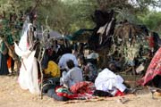 Mui z koovnho etnika Wodaab (nazvni t Bororo) se l na tanec Yaake. Slavnost Gerewol. Niger.