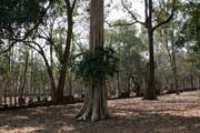 Archeologick park Kamphaeng Phet. Thajsko.