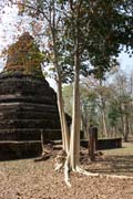 Archeologick park Kamphaeng Phet. Thajsko.