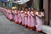 Mlad mniky, Yangon. Myanmar (Barma).