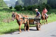 dol Vinales (Valle de Vinales). Kuba.