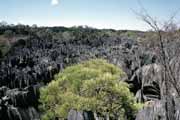 Velk Tsingy, Tsingy de Bemaraha Nrodn park. Madagaskar.