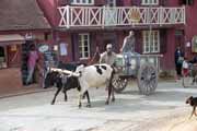 Povoz se zebu, vesnice Ambohimanga. Madagaskar.