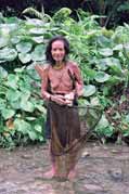 Siberut